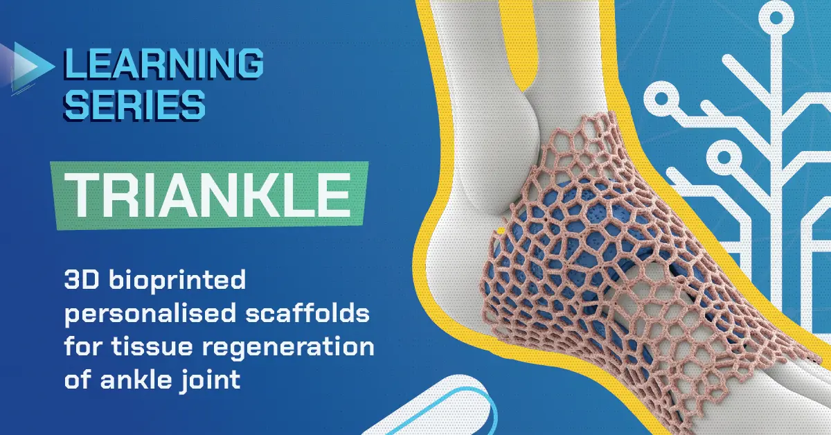 Triankle: 3D Bioprinted Personalised Scaffolds For Tissue Regeneraton Of Ankle Joint