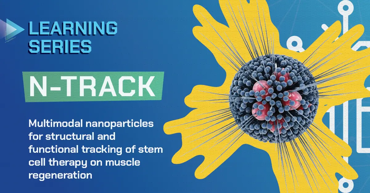 N-track: Multimodal nanoparticles for structural and functional tracking of stem cell therapy on muscle regeneration