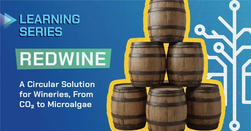 REDWINE: A Circular Solution for Wineries—From CO₂ to Microalgae
