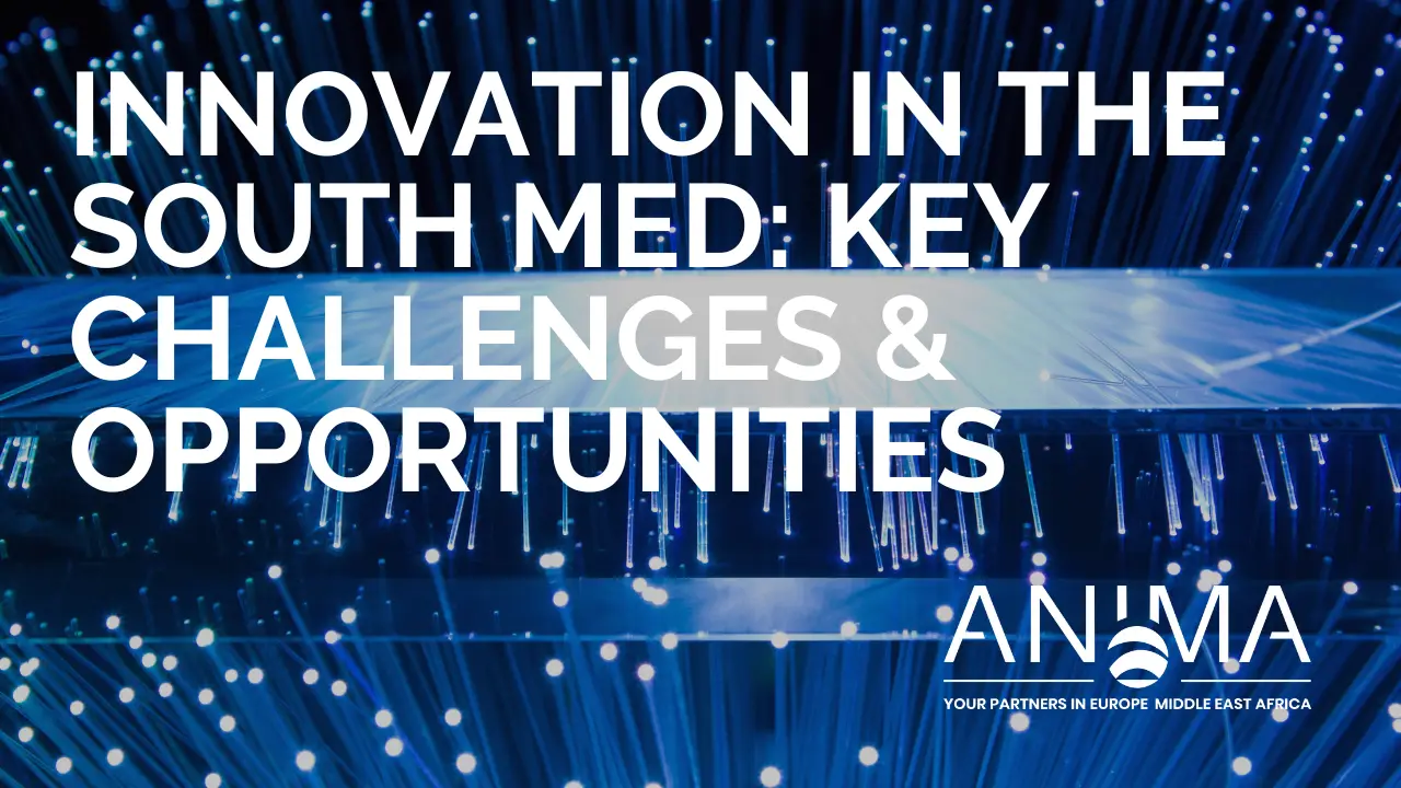 L'innovation dans le sud de la Méditerranée : tableau de bord, défis communs & perspectives d'avenir