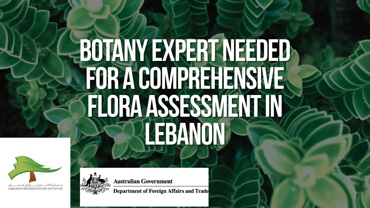 Botany Expert needed for a comprehensive flora assessment in north Lebanon