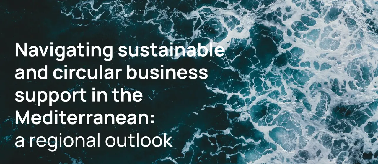 Navigating sustainable and circular business support in the Mediterranean: a regional outlook