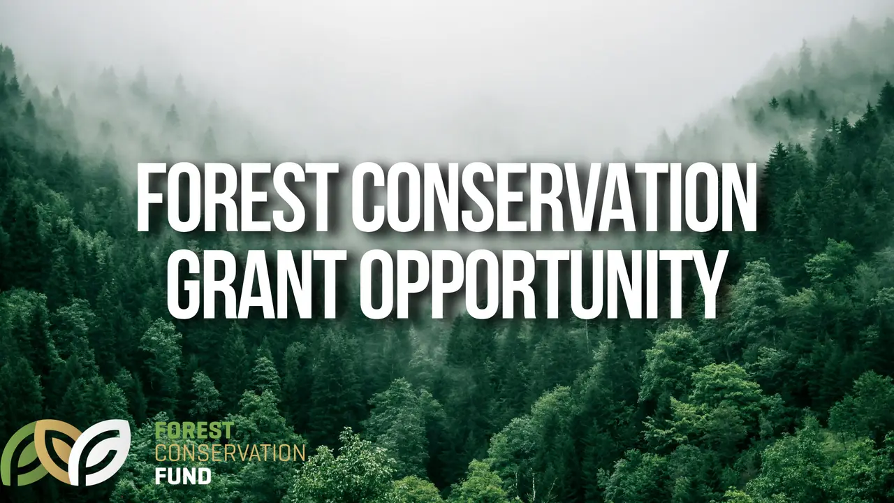 Forest Conservation Grant Opportunity