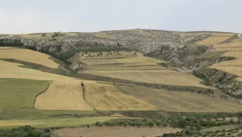 Call for research projects on adaptation in the Mediterranean region